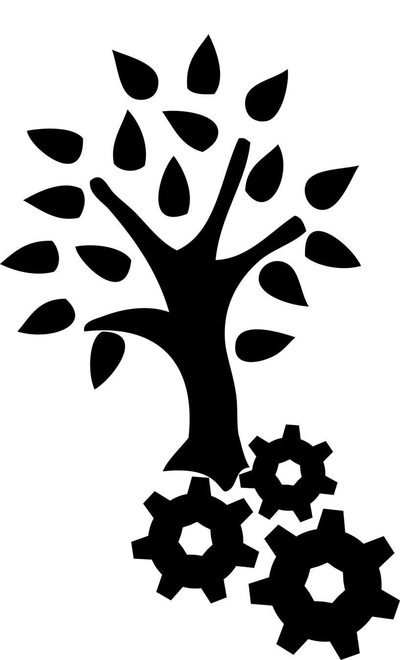 Baum